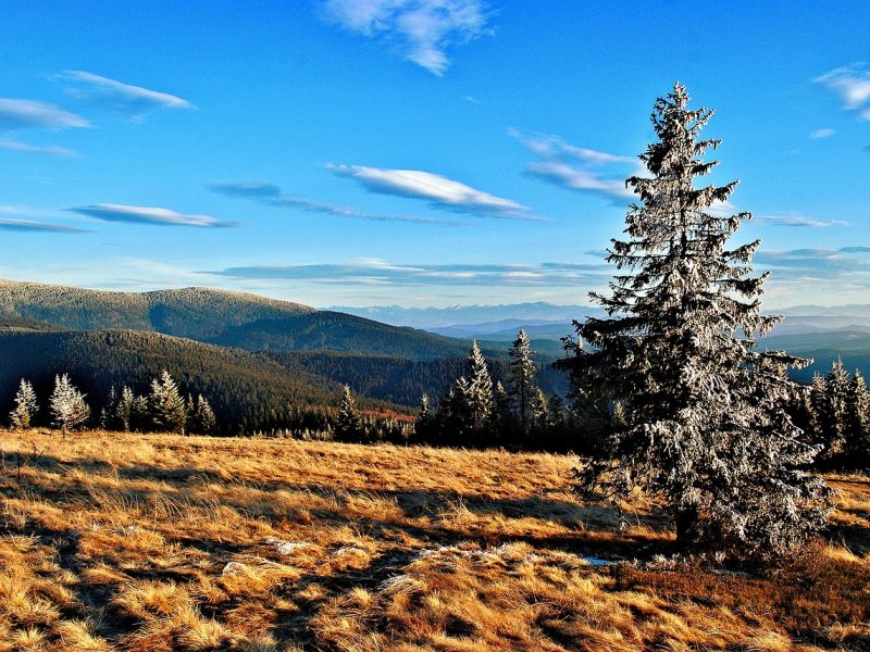 Domki zakopane – gdzie znaleźć idealne miejsce dla całej rodziny